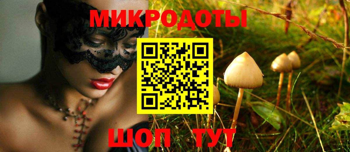 Галлюциногенные грибы Psilocybine cubensis Арсеньев